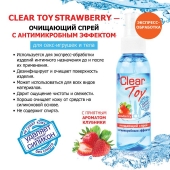 Очищающий спрей для игрушек CLEAR TOY Strawberry - 100 мл. - Биоритм - купить с доставкой в Миассе