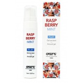 Возбуждающий гель Raspberry Mint с ароматом малины и мяты - 15 мл. - Exsens - купить с доставкой в Миассе