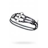 Черный кожаный пояс с кольцами - Pecado - купить с доставкой в Миассе