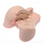 Мастурбатор-полуторс Naked Factory Kate - Naked Factory - в Миассе купить с доставкой