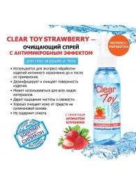 Очищающий спрей для игрушек CLEAR TOY Strawberry - 100 мл. - Биоритм - купить с доставкой в Миассе