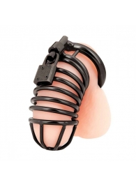 Черная металлическая клетка с замком Deluxe Chastity Cage - BlueLine - купить с доставкой в Миассе
