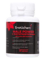 Капсулы для мужчин Erotichard male power с пантогематогеном - 20 капсул (0,370 гр.) - Erotic Hard - купить с доставкой в Миассе
