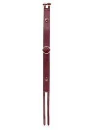 Бордовый ремень Halo Waist Belt - размер L-XL - Shots Media BV - купить с доставкой в Миассе