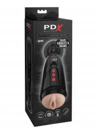 Мастурбатор-вагина с вибрацией Dirty Talk Starter Stroker - Pipedream - в Миассе купить с доставкой