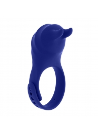 Синее эрекционное виброкольцо с клиторальной подушечкой и пультом ДУ Adjustable Fun Ring - Zero Tolerance - в Миассе купить с доставкой