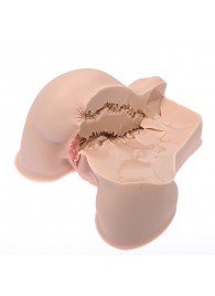 Мастурбатор-полуторс Naked Factory Kate - Naked Factory - в Миассе купить с доставкой