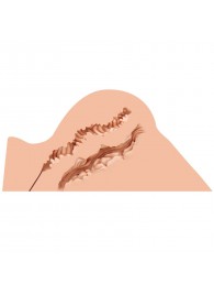 Мастурбатор-полуторс Naked Factory Hannah - Naked Factory - в Миассе купить с доставкой