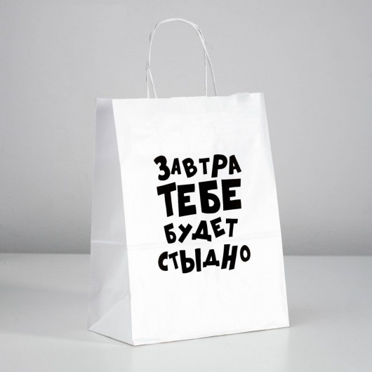Подарочный пакет  Завтра тебе будет стыдно  - 30 х 24 см. - UPAK LAND - купить с доставкой в Миассе