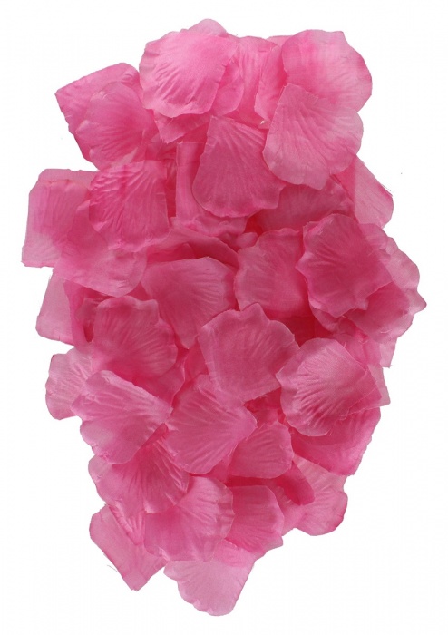 Эротический набор FANTASTIC PURPLE SEX TOY KIT - Toy Joy - купить с доставкой в Миассе