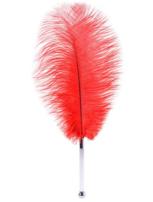 Красное страусовое пёрышко - ToyFa - купить с доставкой в Миассе