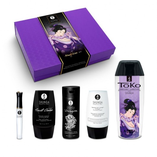 Подарочный набор Naughter Kit - Shunga - купить с доставкой в Миассе