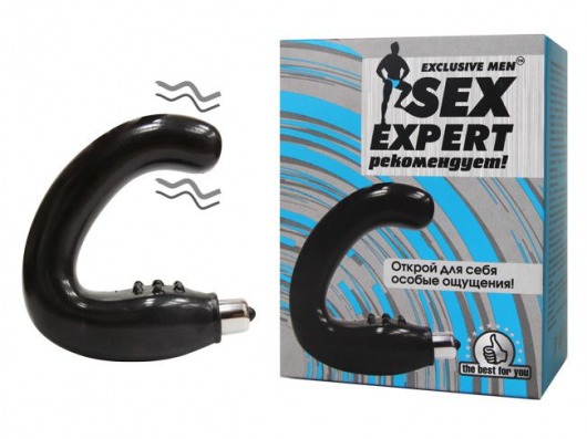 Чёрный массажёр простаты серии Sex Expert - Sex Expert - в Миассе купить с доставкой