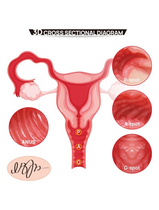 Мастурбатор-полуторс с двойным слоем материала Vanilla Onahole Real Vagina - KOKOS - в Миассе купить с доставкой