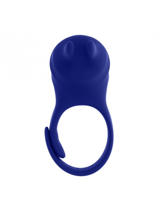 Синее эрекционное виброкольцо с клиторальной подушечкой и пультом ДУ Adjustable Fun Ring - Zero Tolerance - в Миассе купить с доставкой