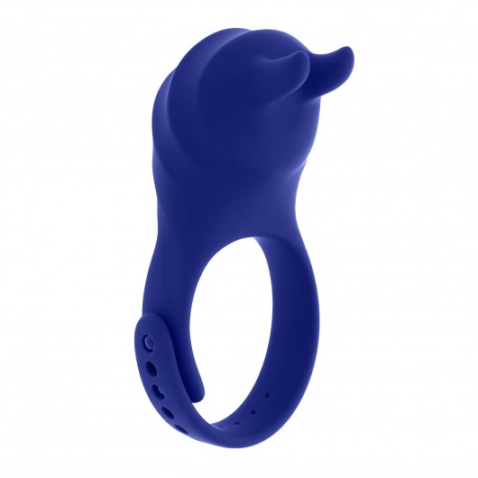 Синее эрекционное виброкольцо с клиторальной подушечкой и пультом ДУ Adjustable Fun Ring - Zero Tolerance - в Миассе купить с доставкой