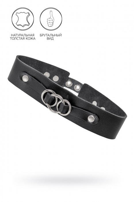 Черный чокер-ошейник со связанными кольцами на подложке - Pecado - купить с доставкой в Миассе