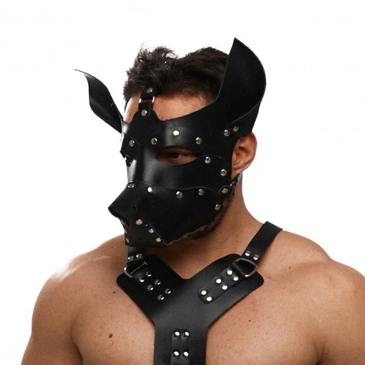 Черная кожаная маска «Собака» - Crazy Handmade - купить с доставкой в Миассе