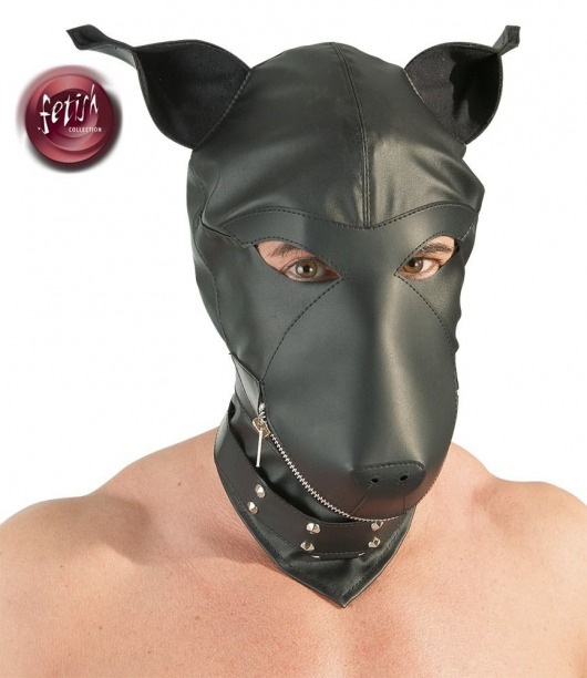 Шлем-маска Dog Mask в виде морды собаки - Orion - купить с доставкой в Миассе