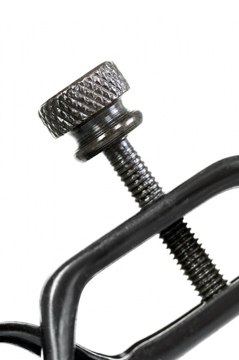 Черно-золотистые зажимы для сосков TOYFA Theatre - ToyFa - купить с доставкой в Миассе