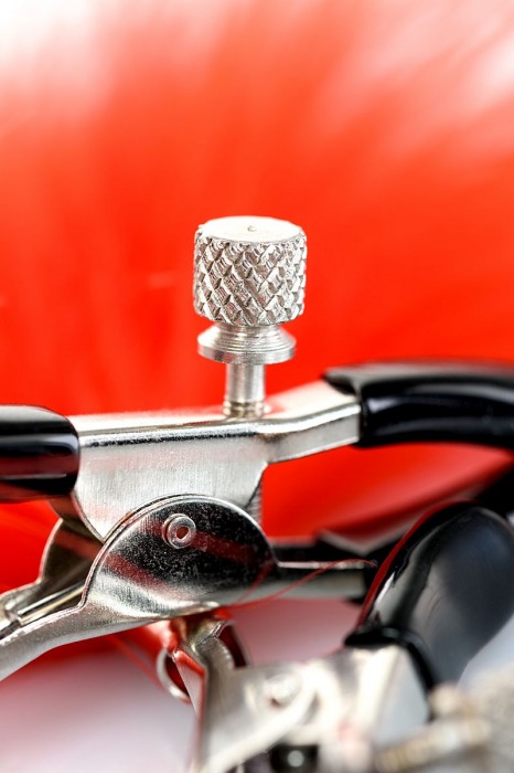 Зажимы для сосков с красным пухом Theatre - ToyFa - купить с доставкой в Миассе